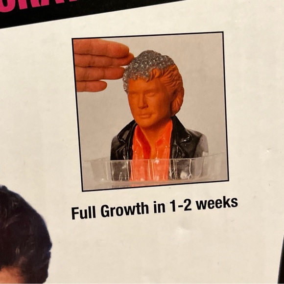 CHIA PET David Hasselhoff “The Hoff” Pottery Planter - Knight Rider New In Box!! - Picture 3 of 10